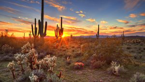 Klima Arizona temperatur, klimat och väder året runt