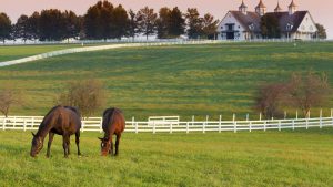 Klima Kentucky temperatur, klimat och väder året runt