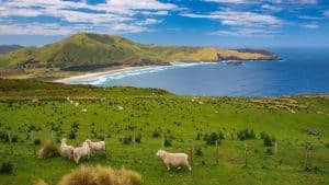 Klimatet i Nya Zeeland