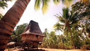 Klima Östtimor temperatur, klimat och väder året runt