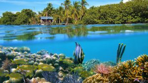 Klima Bocas del Toro temperatur, klimat och väder året runt