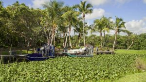 Klima Everglades National Park temperatur, klimat och väder året runt