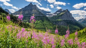 Klima Glacier National Park temperatur, klimat och väder året runt