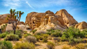 Klima Joshua Tree National Park temperatur, klimat och väder året runt
