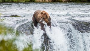 Klima Katmai National Park temperatur, klimat och väder året runt