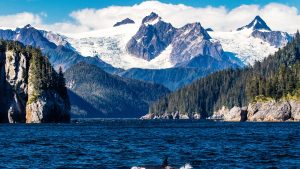Klima Kenai Fjords National Park temperatur, klimat och väder året runt