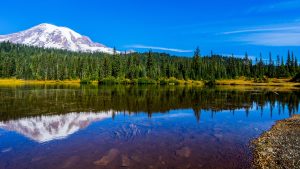 Klima Mount Rainier National Park temperatur, klimat och väder året runt