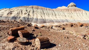 Klima Petrified Forest National Park temperatur, klimat och väder året runt