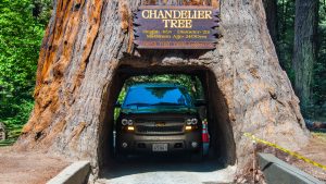 Klima Redwood National Park temperatur, klimat och väder året runt