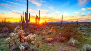 Klima Saguaro National Park temperatur, klimat och väder året runt