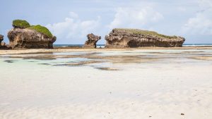 Klima Malindi temperatur, klimat och väder året runt