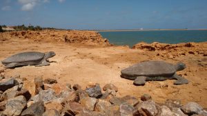 Klima Port Hedland temperatur, klimat och väder året runt