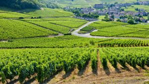 Klima Bourgogne temperatur, klimat och väder året runt