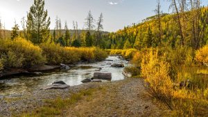Klima Elk River temperatur, klimat och väder året runt