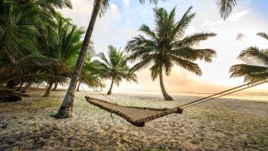 Klima Mombasa temperatur, klimat och väder året runt