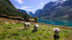 Klima Loen temperatur, klimat och väder året runt