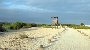 Klima San José del Cabo temperatur, klimat och väder året runt