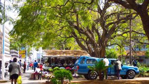 Klima Zimbabwe temperatur, klimat och väder året runt