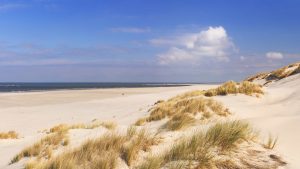 Klima Callantsoog temperatur, klimat och väder året runt