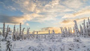 Klima Lappland, Sverige temperatur, klimat och väder året runt