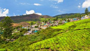 Klima Darjeeling temperatur, klimat och väder året runt