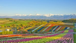 Klima Hokkaido temperatur, klimat och väder året runt