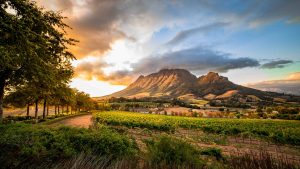 Klima Stellenbosch temperatur, klimat och väder året runt