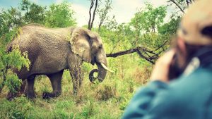 Klima Krugerpark temperatur, klimat och väder året runt
