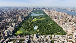 Vädret i New York City i maj 2025 