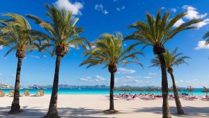 Vädret i Alcudia i november 2025 