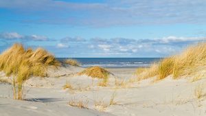Klima Nieuwvliet-Bad temperatur, klimat och väder året runt