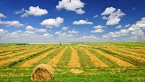 Klima Saskatchewan temperatur, klimat och väder året runt