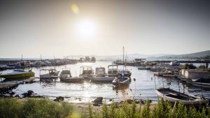 Klima Gümüldür temperatur, klimat och väder året runt