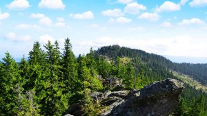 Klima Bayerischer Wald temperatur, klimat och väder året runt