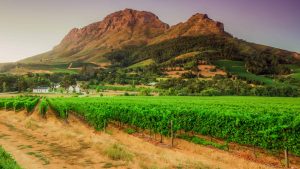Klima Cape Winelands temperatur, klimat och väder året runt