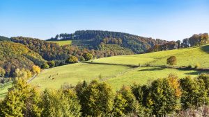 Klima Sauerland temperatur, klimat och väder året runt