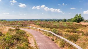 Klima Twente temperatur, klimat och väder året runt