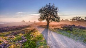 Klima Veluwe temperatur, klimat och väder året runt