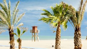 Klima Narbonne-Plage temperatur, klimat och väder året runt