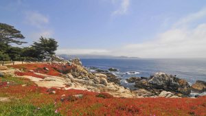 Klima Pebble Beach temperatur, klimat och väder året runt