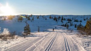 Klima Brånäs temperatur, klimat och väder året runt