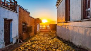 Klima Colonia del Sacramento temperatur, klimat och väder året runt