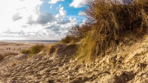 Klima Koksijde temperatur, klimat och väder året runt