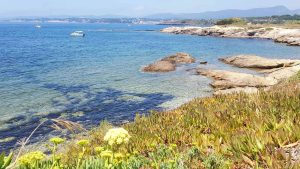 Klima Six-Fours-les-Plages temperatur, klimat och väder året runt