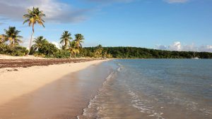Klima Vieques temperatur, klimat och väder året runt