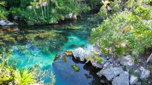 Klima Xel-Ha temperatur, klimat och väder året runt