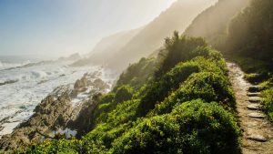 Klima Garden Route National Park temperatur, klimat och väder året runt