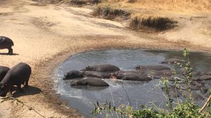Klima Katavi National Park temperatur, klimat och väder året runt