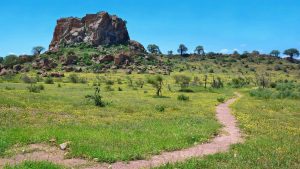 Klima Mapungubwe National Park temperatur, klimat och väder året runt