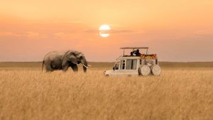 Klima Masai Mara National Reserve temperatur, klimat och väder året runt